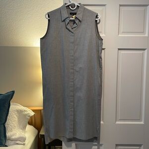 Rag and Bone shirtwaist dress.  Sleeveless, hits just below knees.